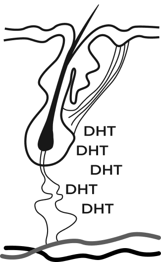 images-DHT.png images-DHT.png